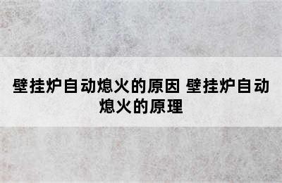 壁挂炉自动熄火的原因 壁挂炉自动熄火的原理